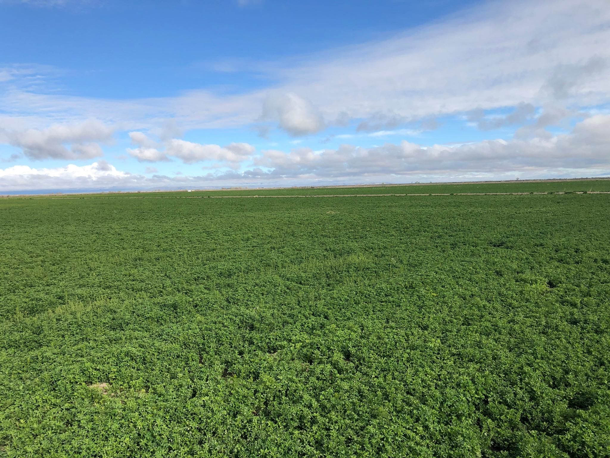 3500 S 2000 W, Delta, UT 84624 MLS 1636271 LandWatch