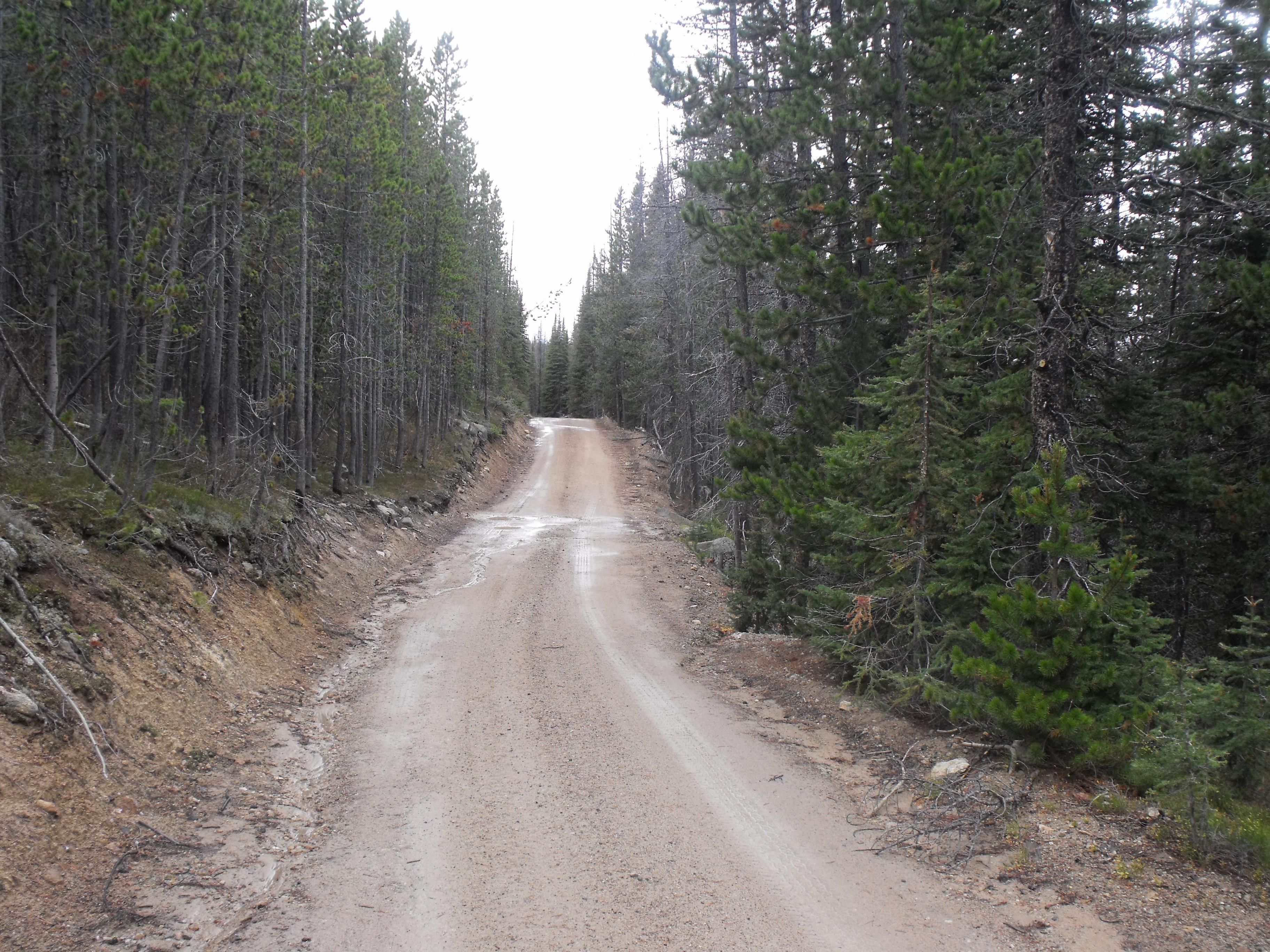 Helena, Lewis and Clark County, MT Recreational Property, Timberland