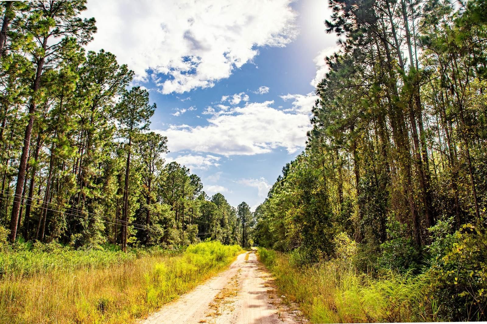 Putnam County, FL Recreational Property, Undeveloped Land