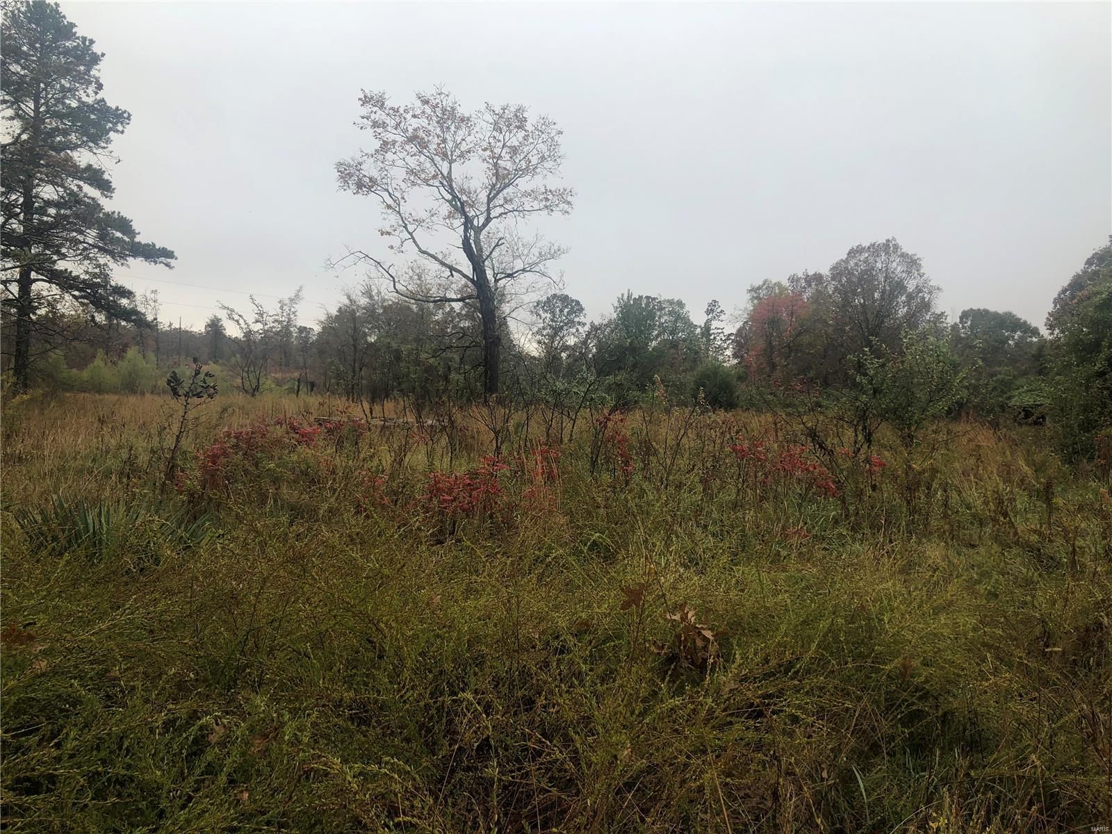 Fairdealing, Ripley County, MO Farms and Ranches for sale Property ID