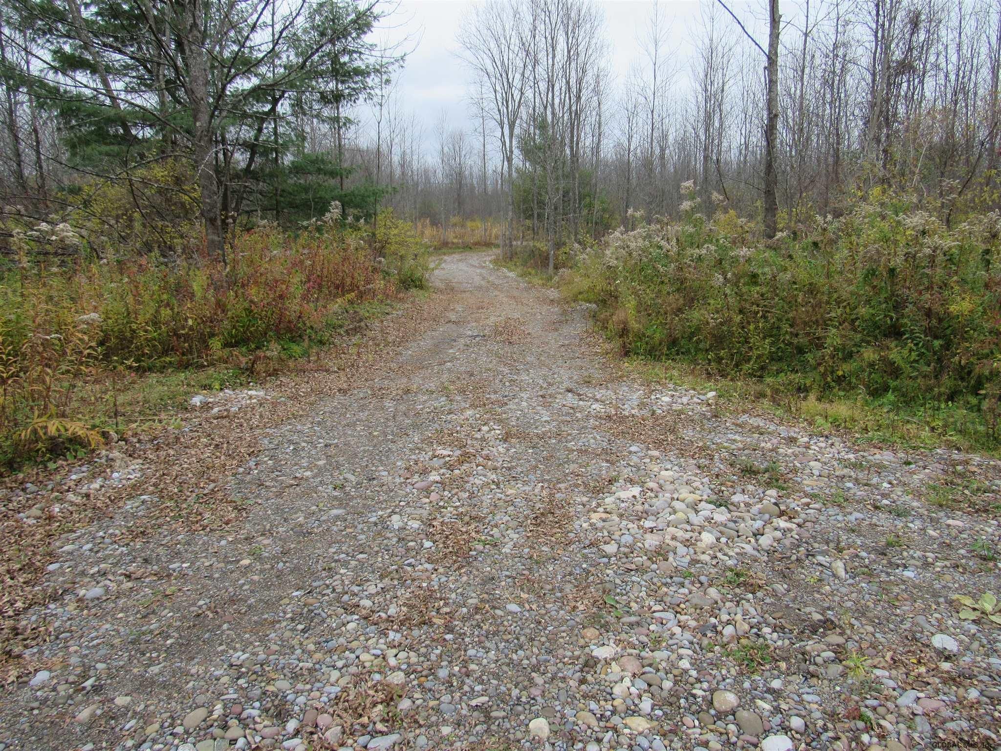 Esperance, Schoharie County, NY Undeveloped Land for sale Property ID