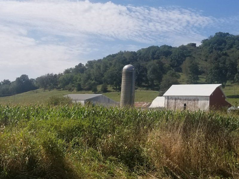 Ithaca, Richland County, WI Undeveloped Land for sale Property ID