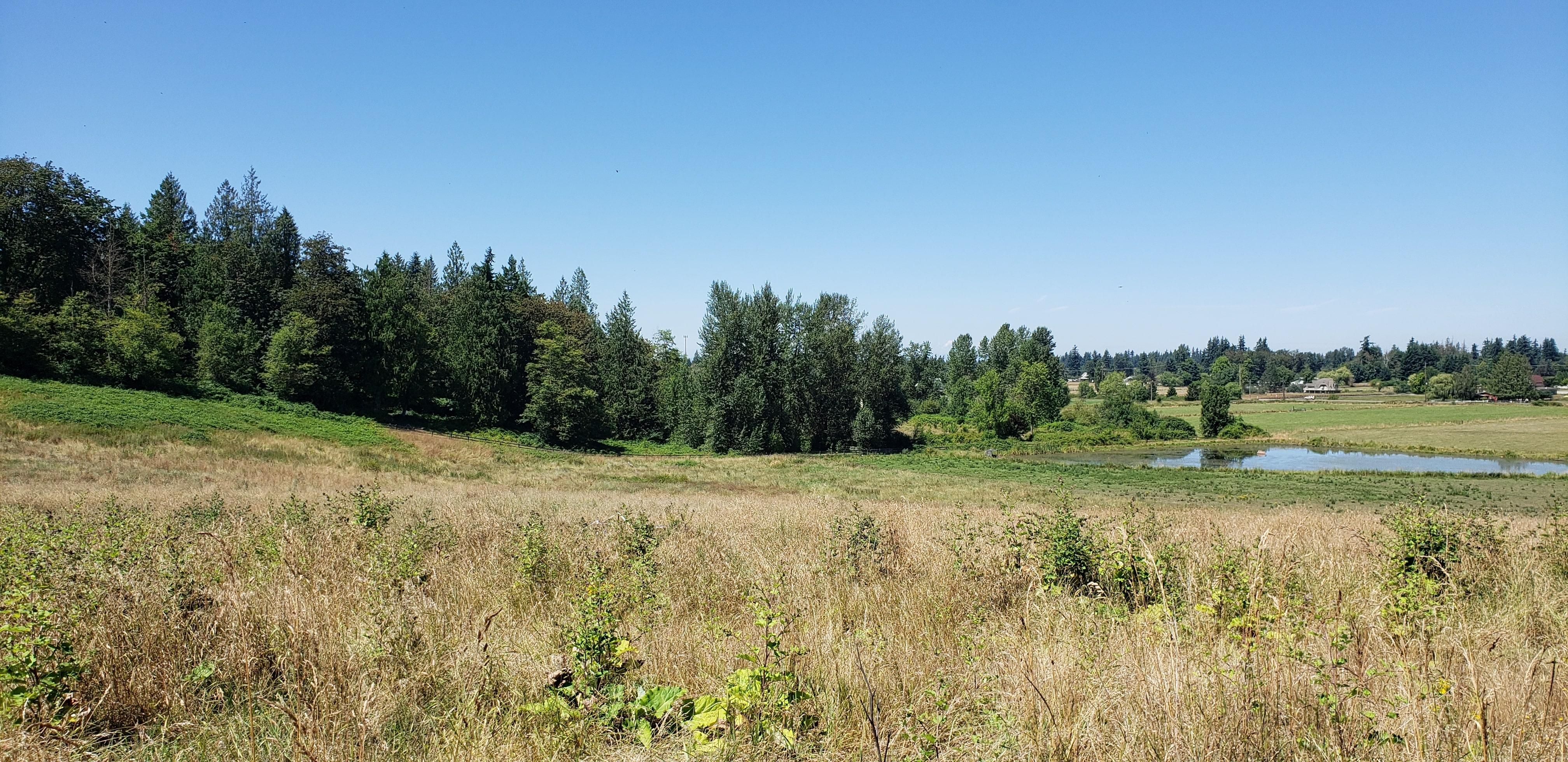 40525 224th Ave SE, Enumclaw, WA 98022 MLS 1489730 LandWatch