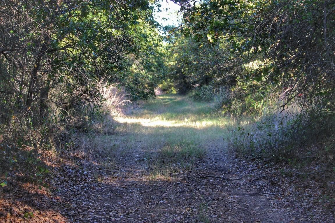 Whitt, Jack County, TX Farms and Ranches, Recreational Property