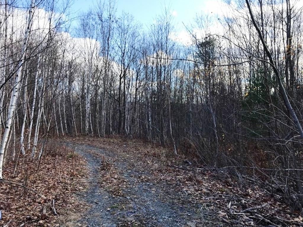 Summit, Schoharie County, NY Undeveloped Land for sale Property ID