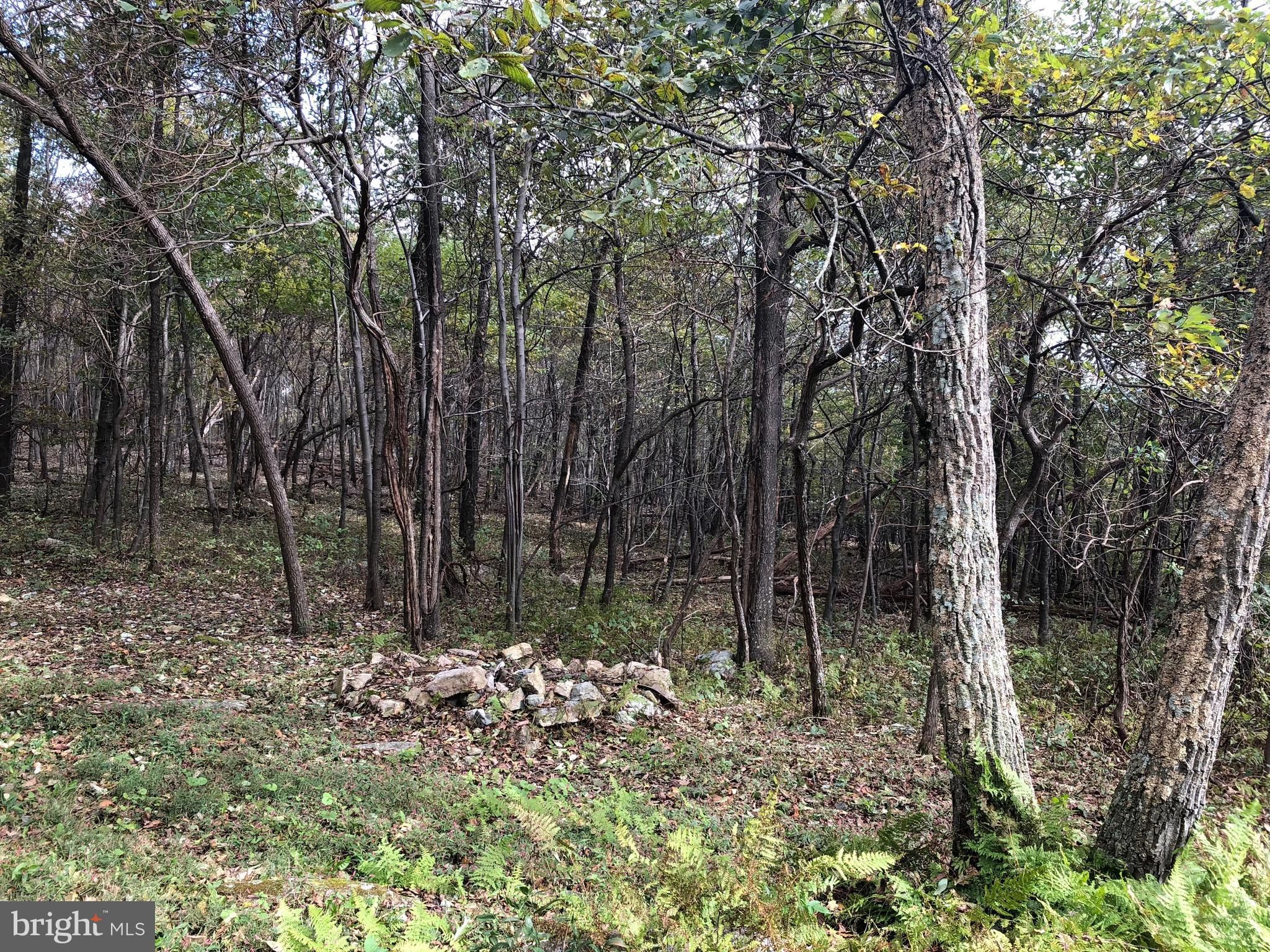 Winchester, Frederick County, VA Undeveloped Land for sale Property ID 336635115 LandWatch