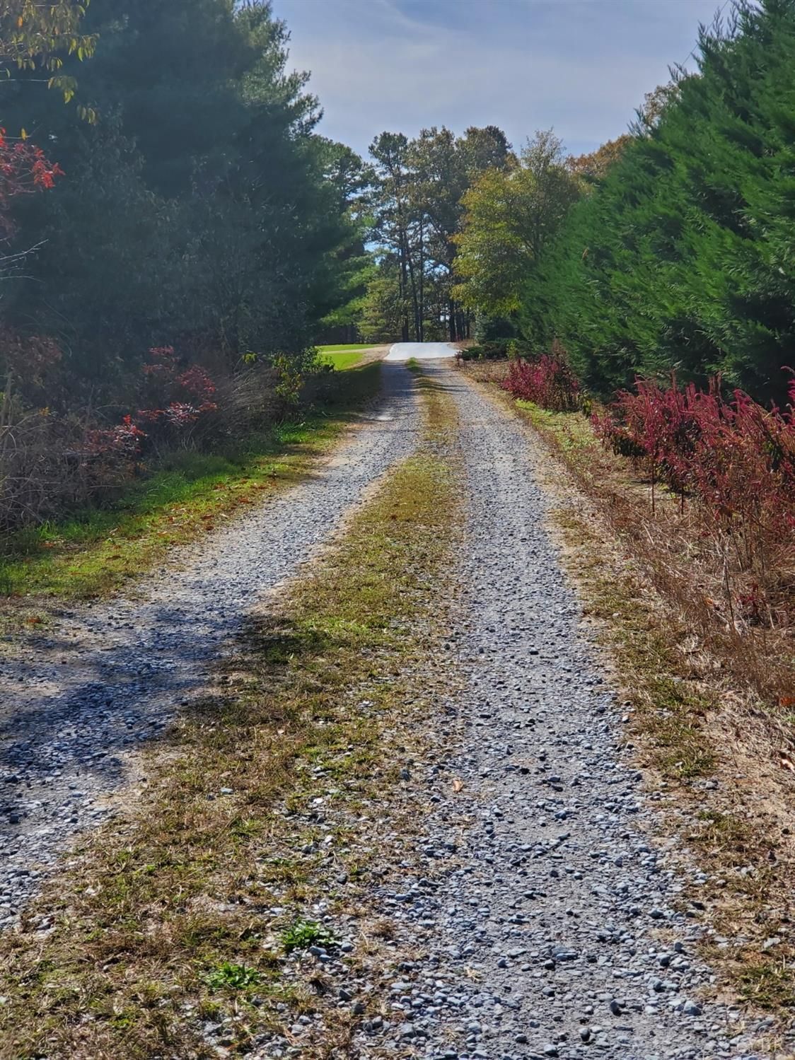 Gladys, Campbell County, VA Undeveloped Land for sale Property ID