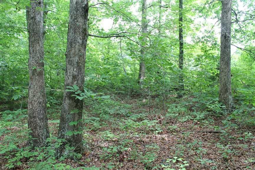 Red Boiling Springs, Jackson County, TN Recreational Property