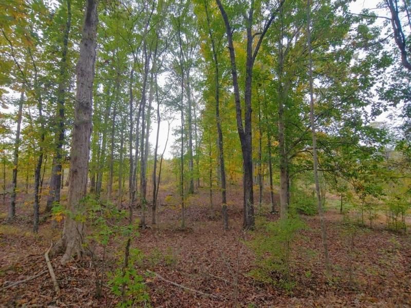 Maxeys, Oglethorpe County, GA Recreational Property, Timberland