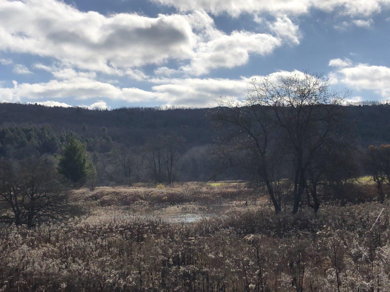 Morris, Otsego County, NY Undeveloped Land for sale Property ID