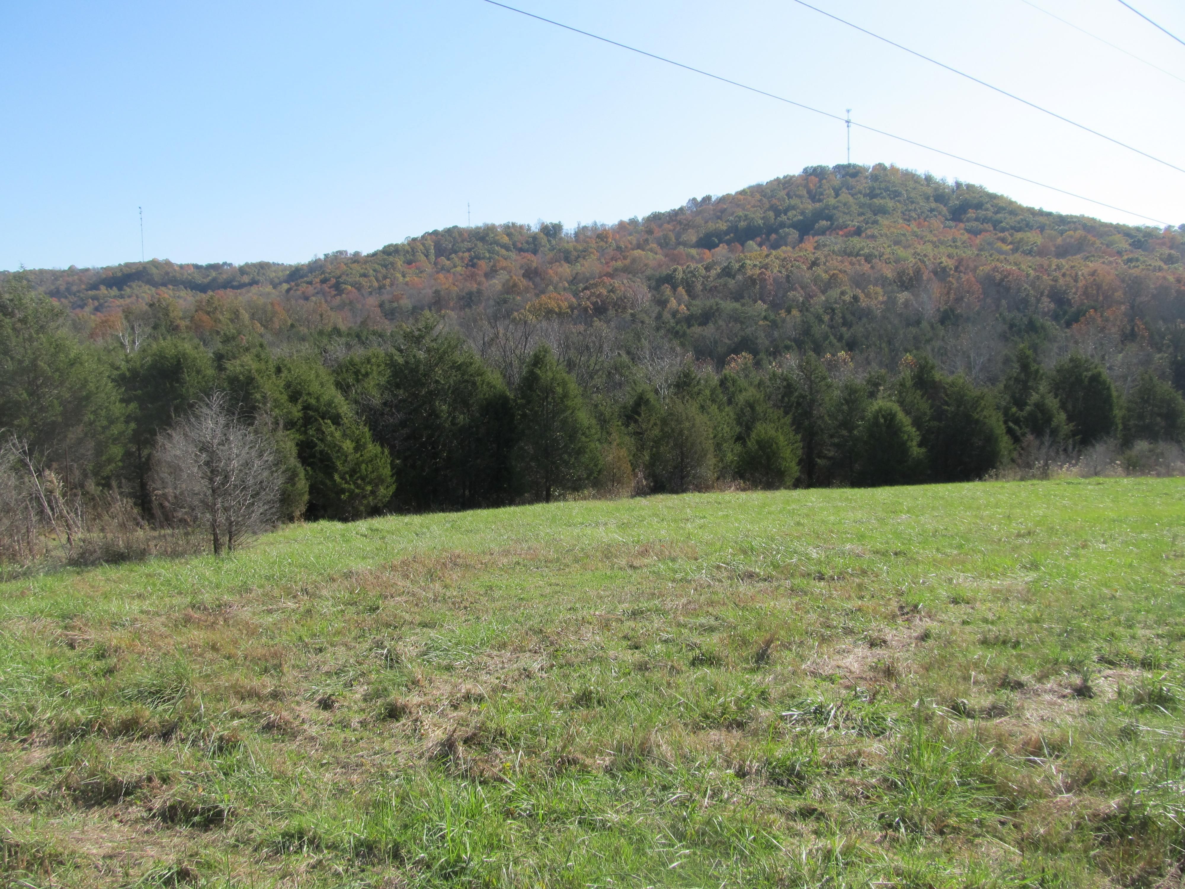 Wooley Road, Wallingford, KY 41093 MLS wooley3 LandWatch