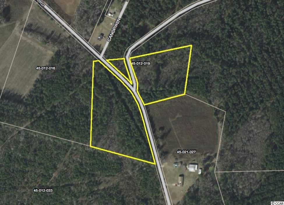 Greeleyville, Williamsburg County, SC Undeveloped Land for sale