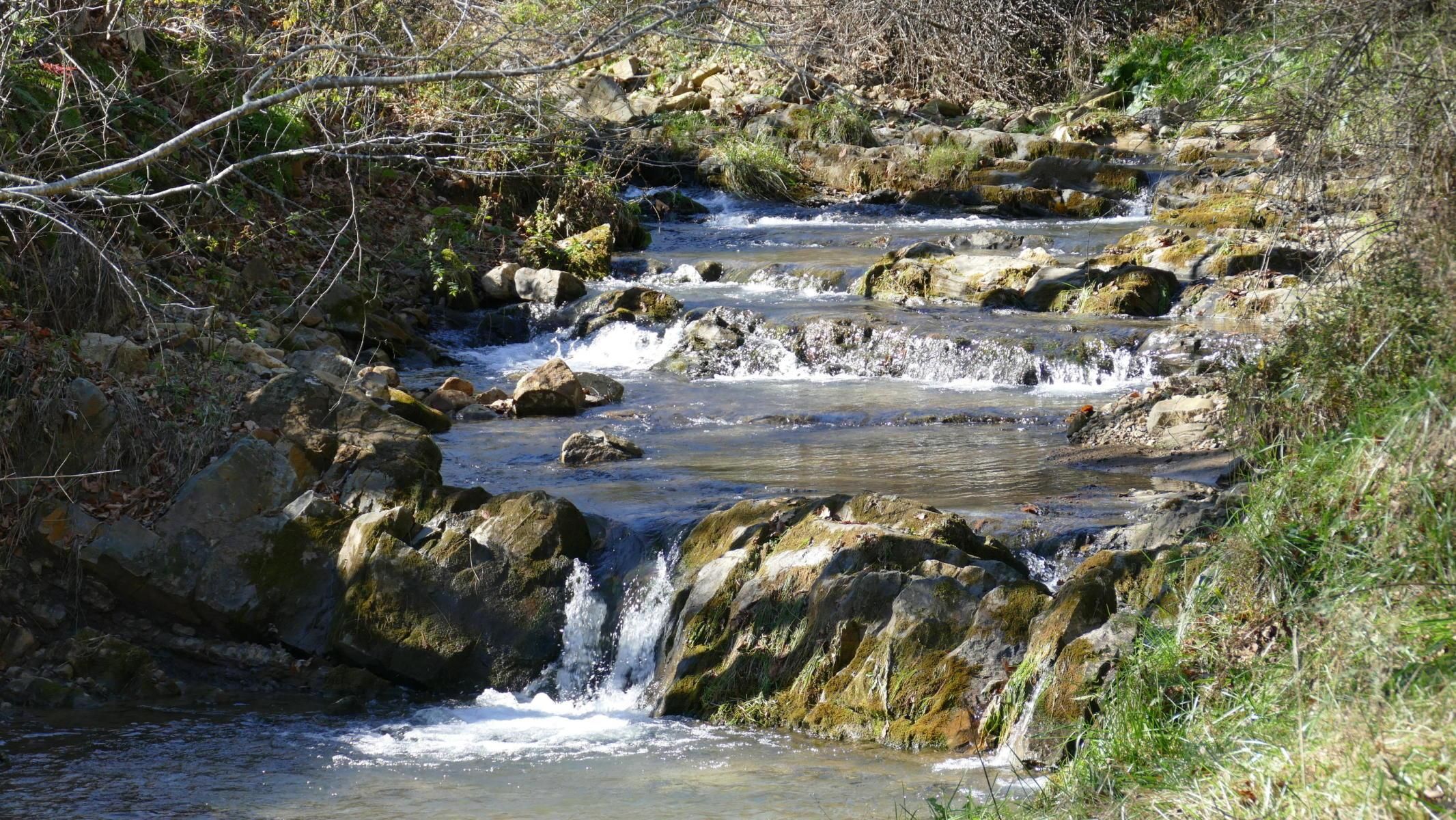 Head Waters, Highland County, VA Recreational Property, Timberland