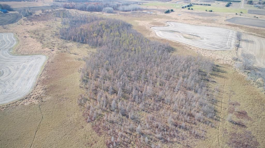 Mora, Kanabec County, MN Undeveloped Land for sale Property ID