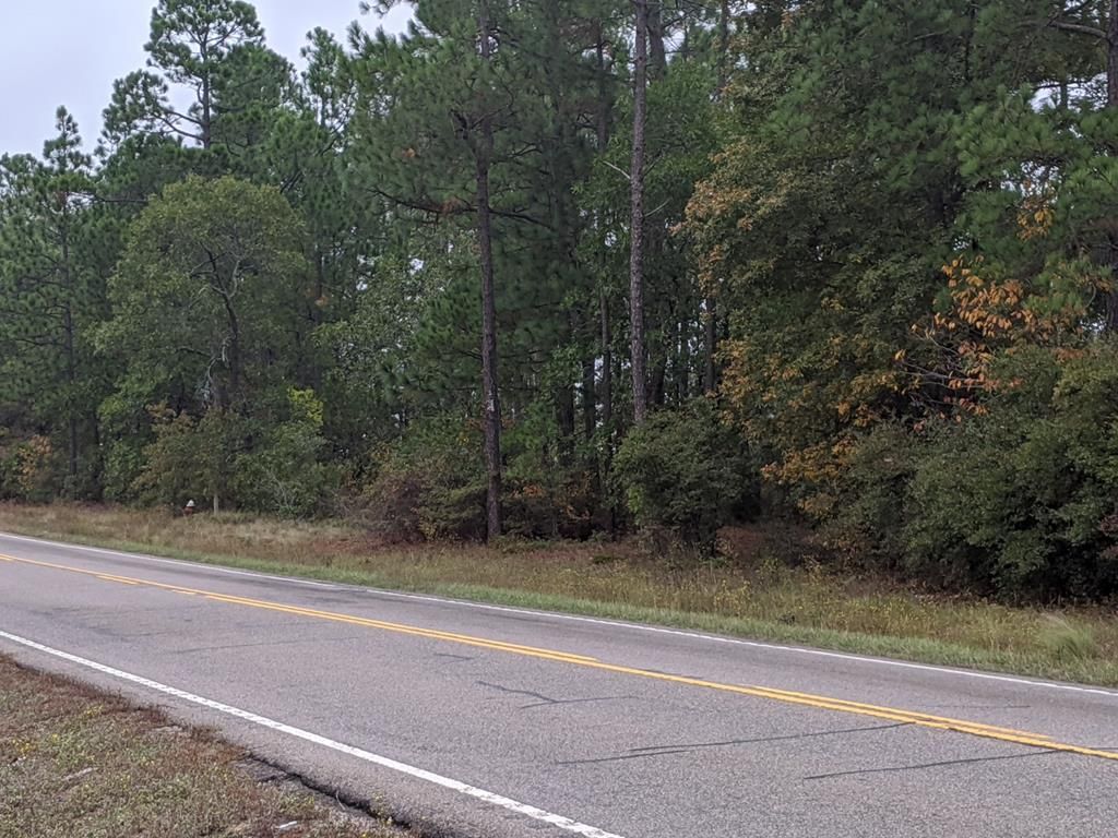 Trenton, Edgefield County, SC Undeveloped Land, Homesites for sale