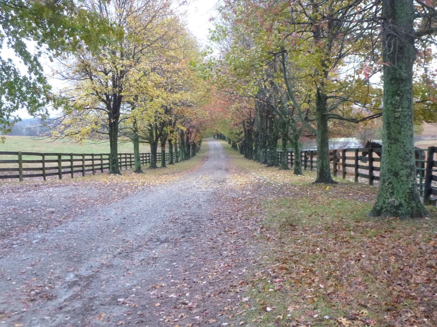 Paris, Bourbon County, KY Farms and Ranches for sale Property ID