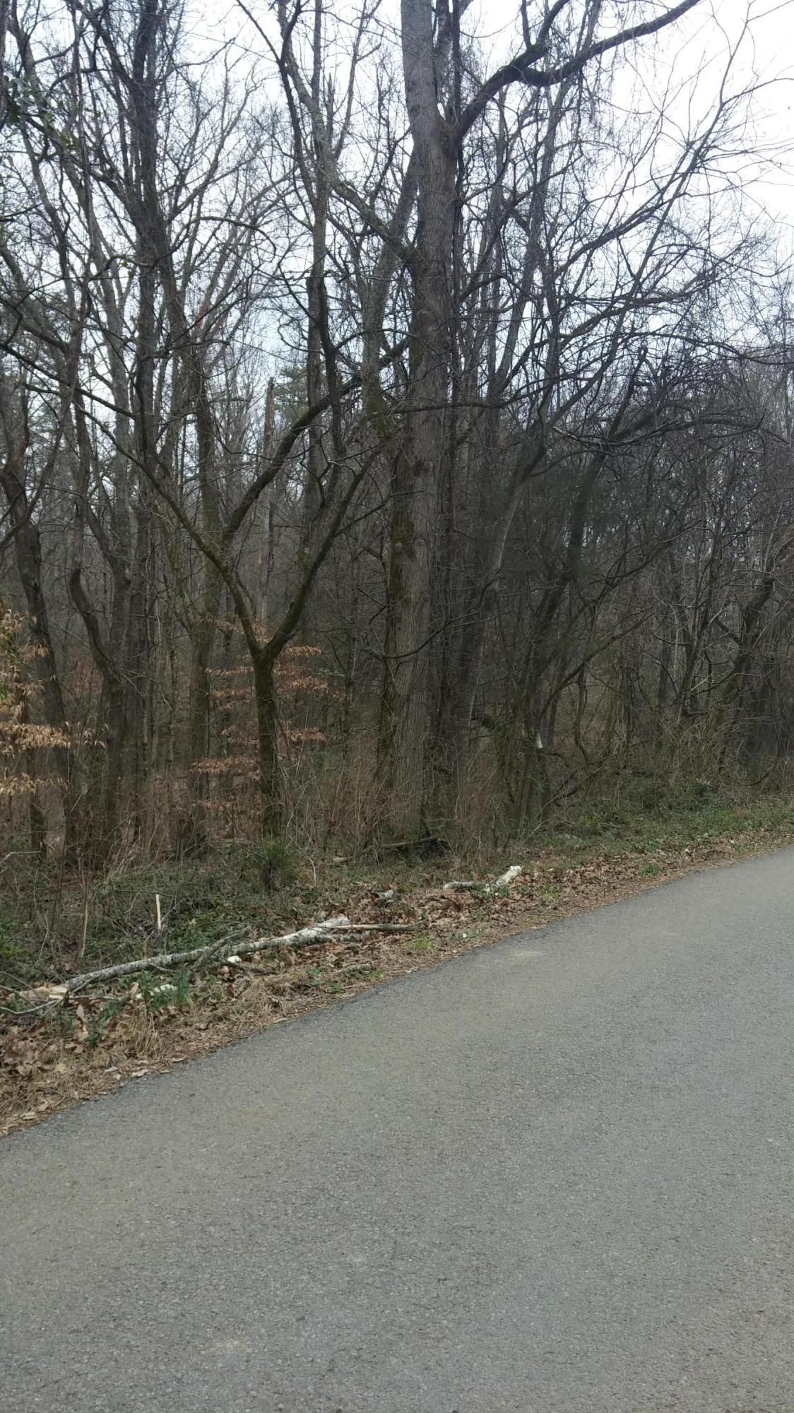 Dave Smith Rd, Kodak, TN 37764 MLS 1076860 LandWatch