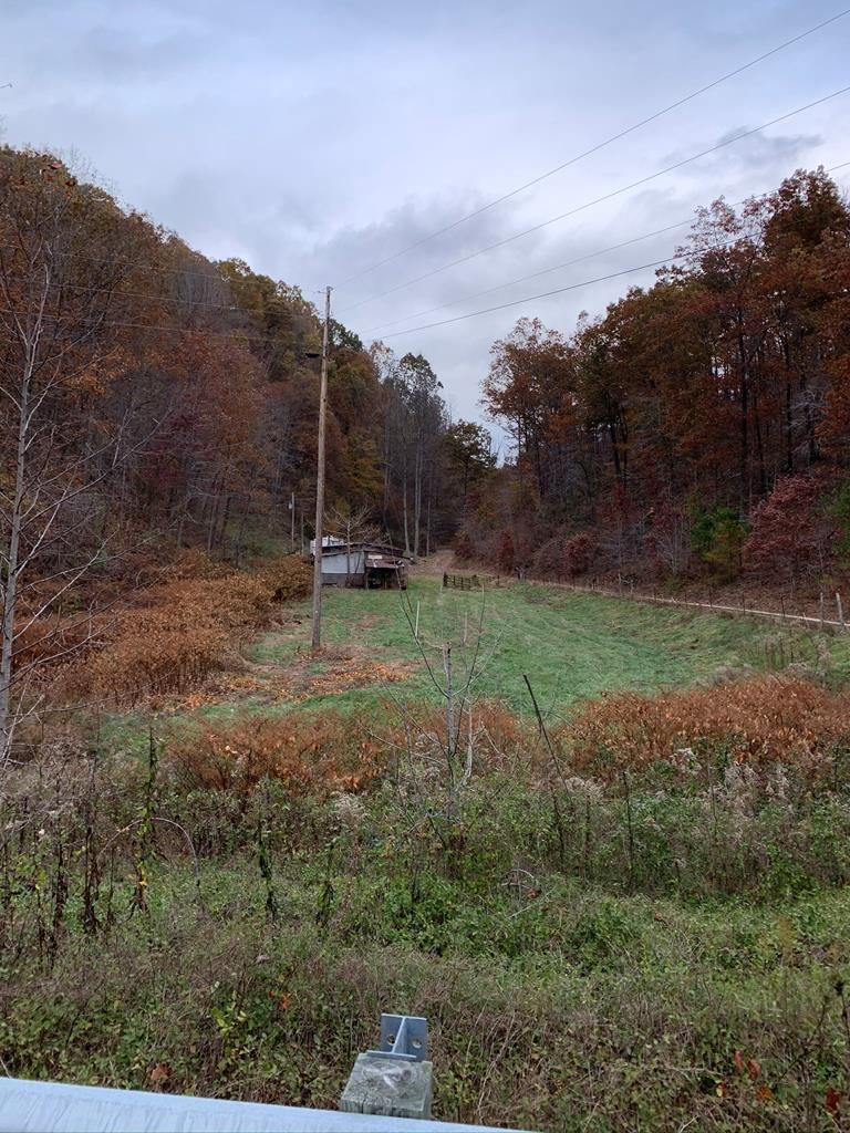 Quincy, Lewis County, KY Undeveloped Land, Lakefront Property