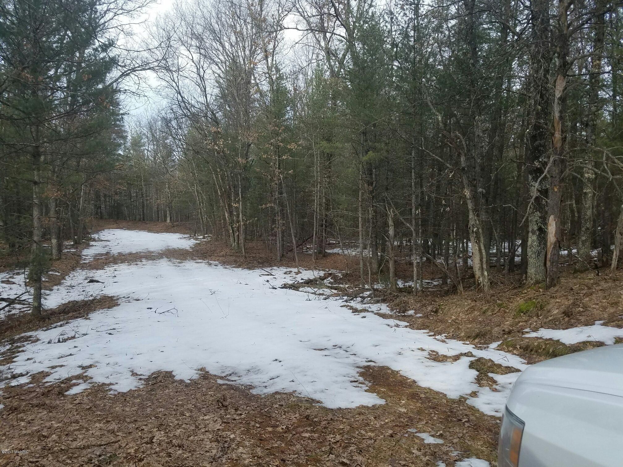 Idlewild, Lake County, MI Undeveloped Land, Lakefront Property