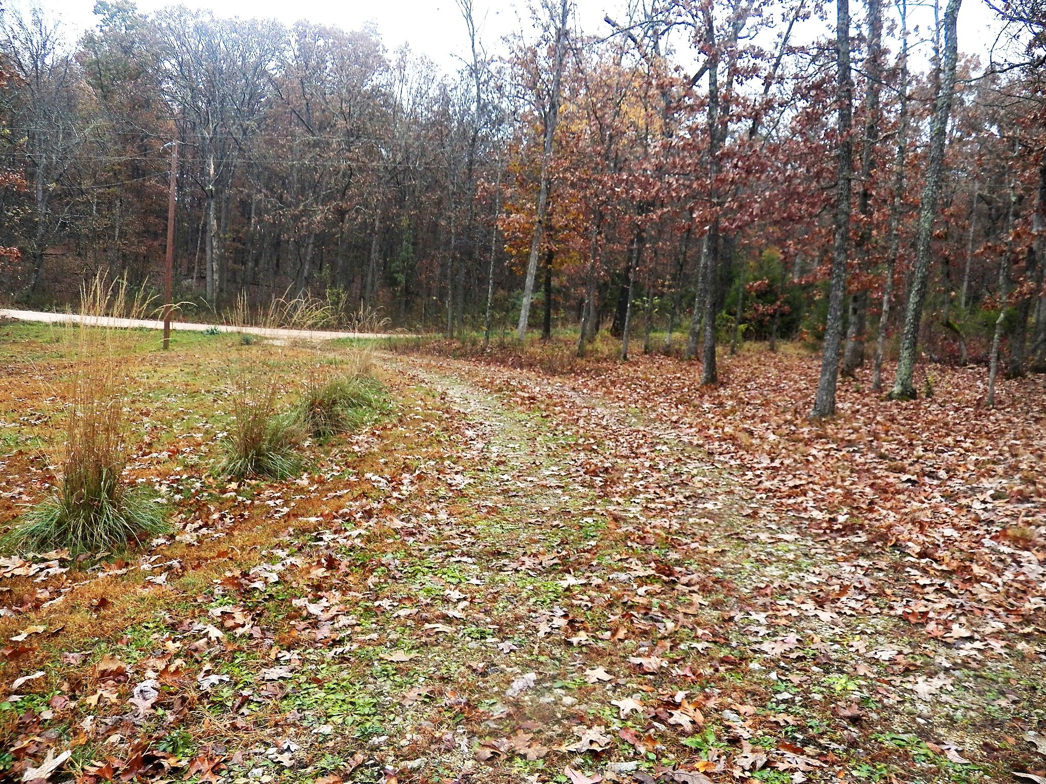 Leasburg, Crawford County, MO House for sale Property ID 336675096