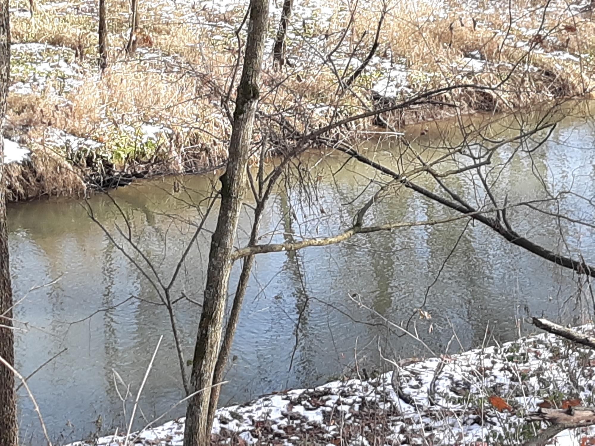 Blue River, Richland County, WI Recreational Property, Hunting Property