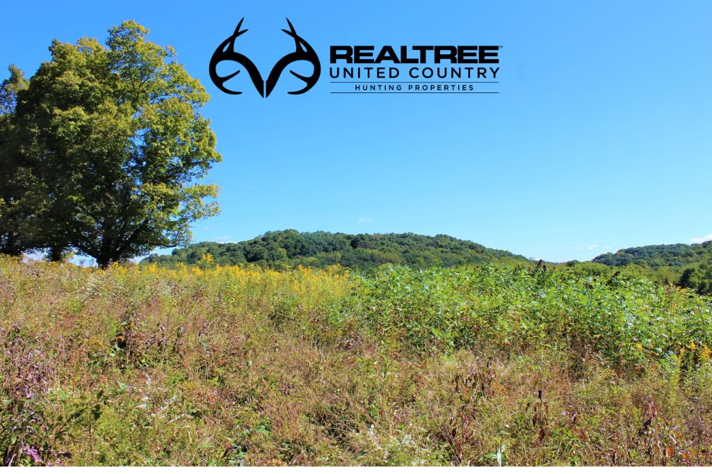 New Plymouth, Vinton County, OH Recreational Property, Timberland