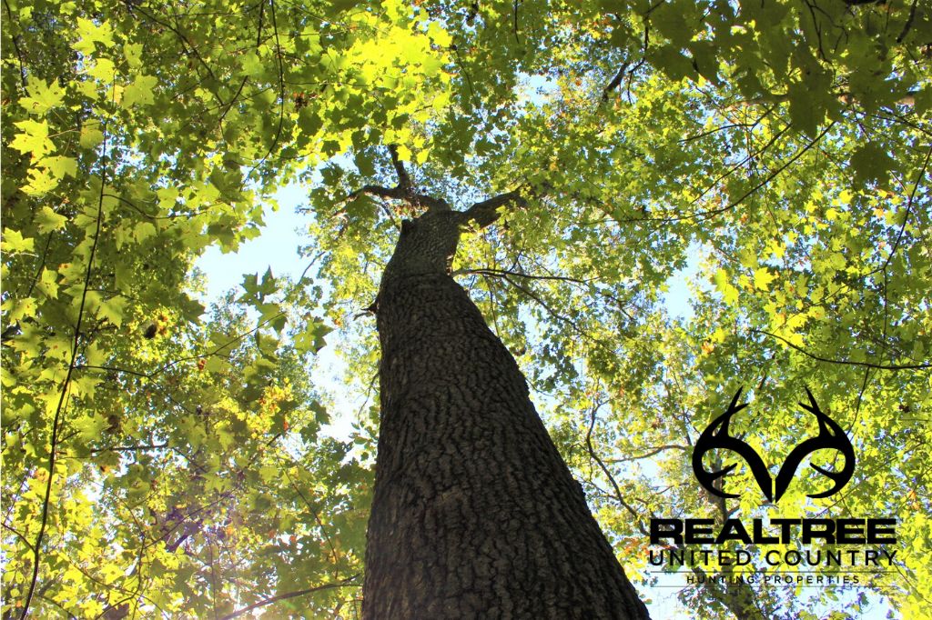 New Plymouth, Vinton County, OH Recreational Property, Hunting Property