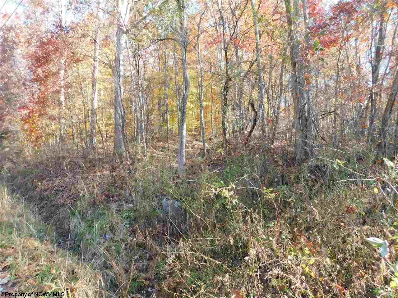 Independence, Preston County, WV Undeveloped Land for sale Property ID