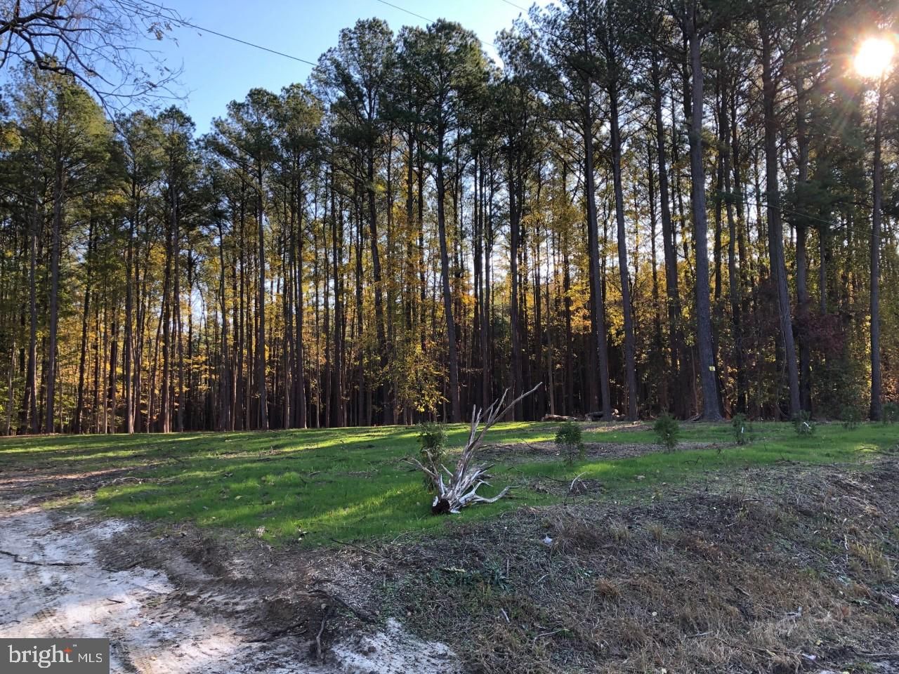 Princess Anne, Somerset County, MD Undeveloped Land, Lakefront Property