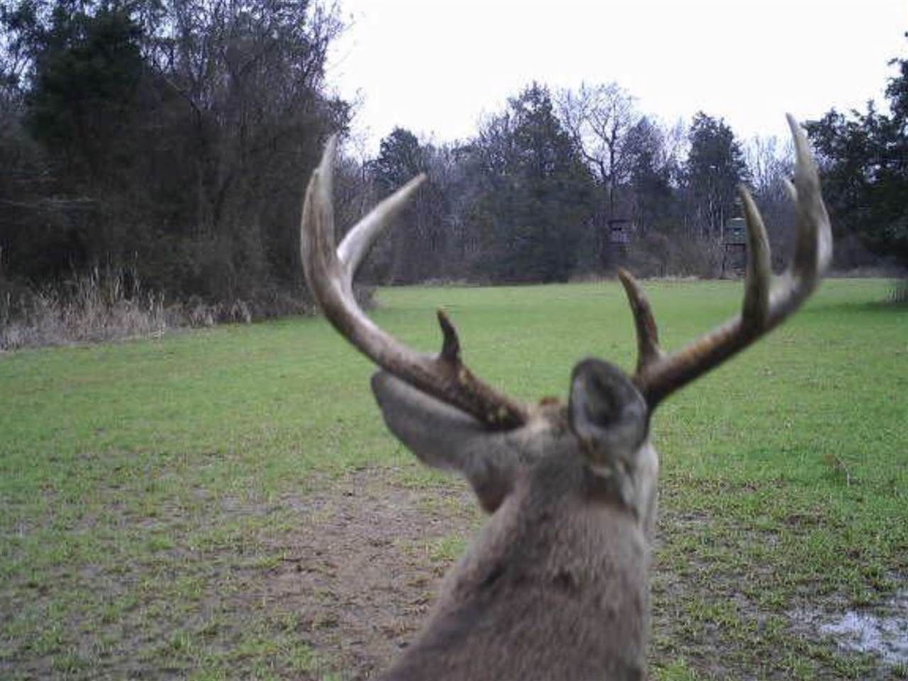 Vicksburg, Warren County, MS Undeveloped Land for sale Property ID