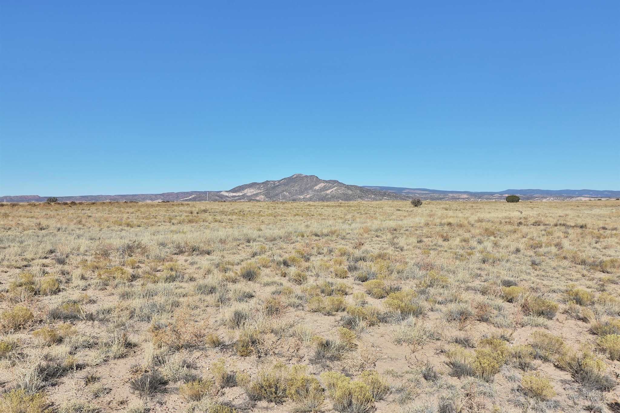 Medanales, Rio Arriba County, NM Undeveloped Land for sale Property ID