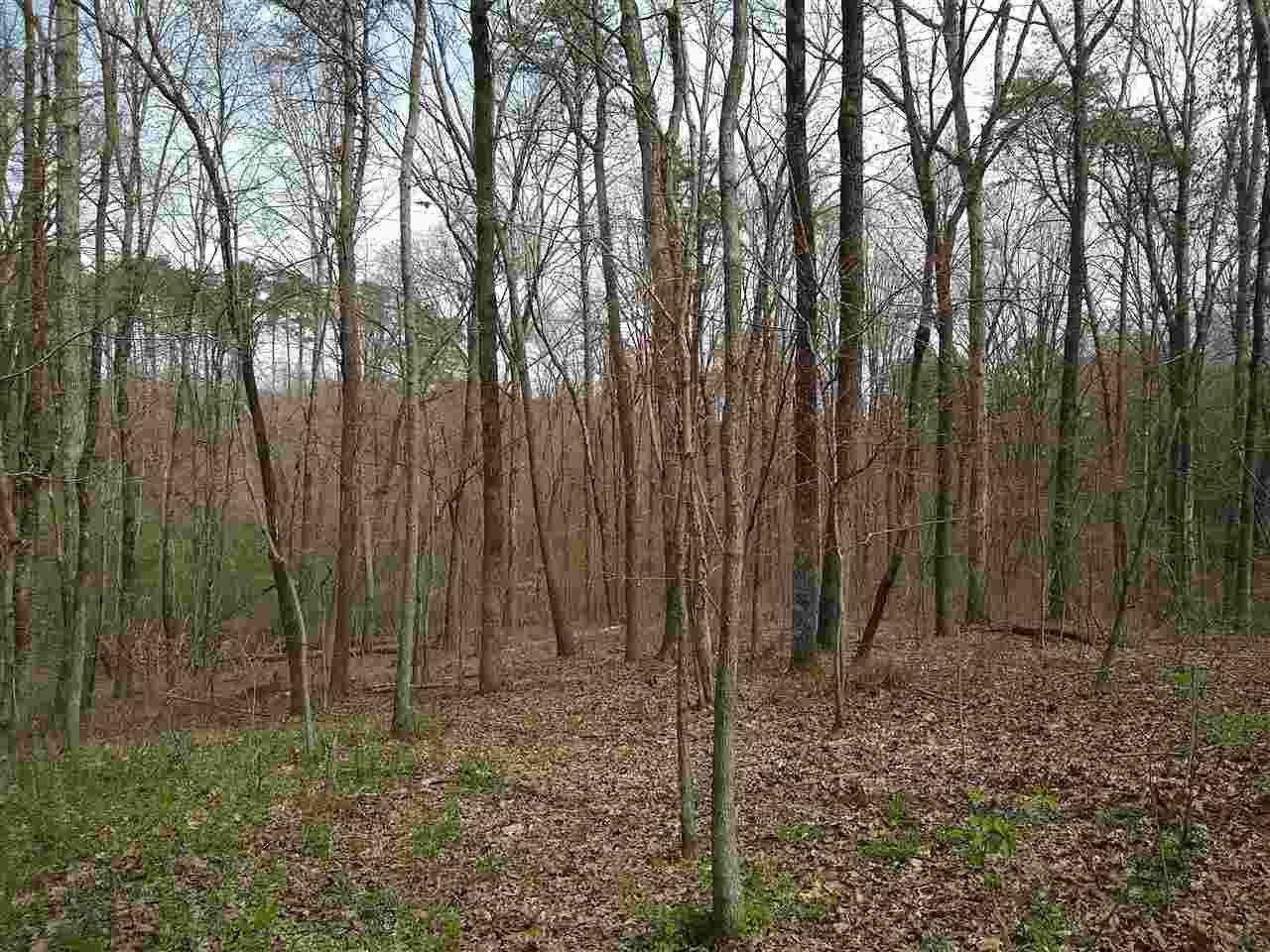 Sale Creek, Hamilton County, TN Undeveloped Land for sale Property ID