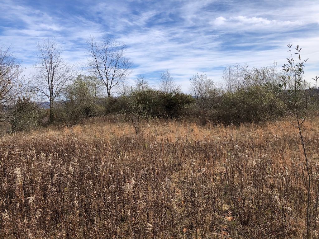 Bedford, Bedford County, PA Undeveloped Land for sale Property ID