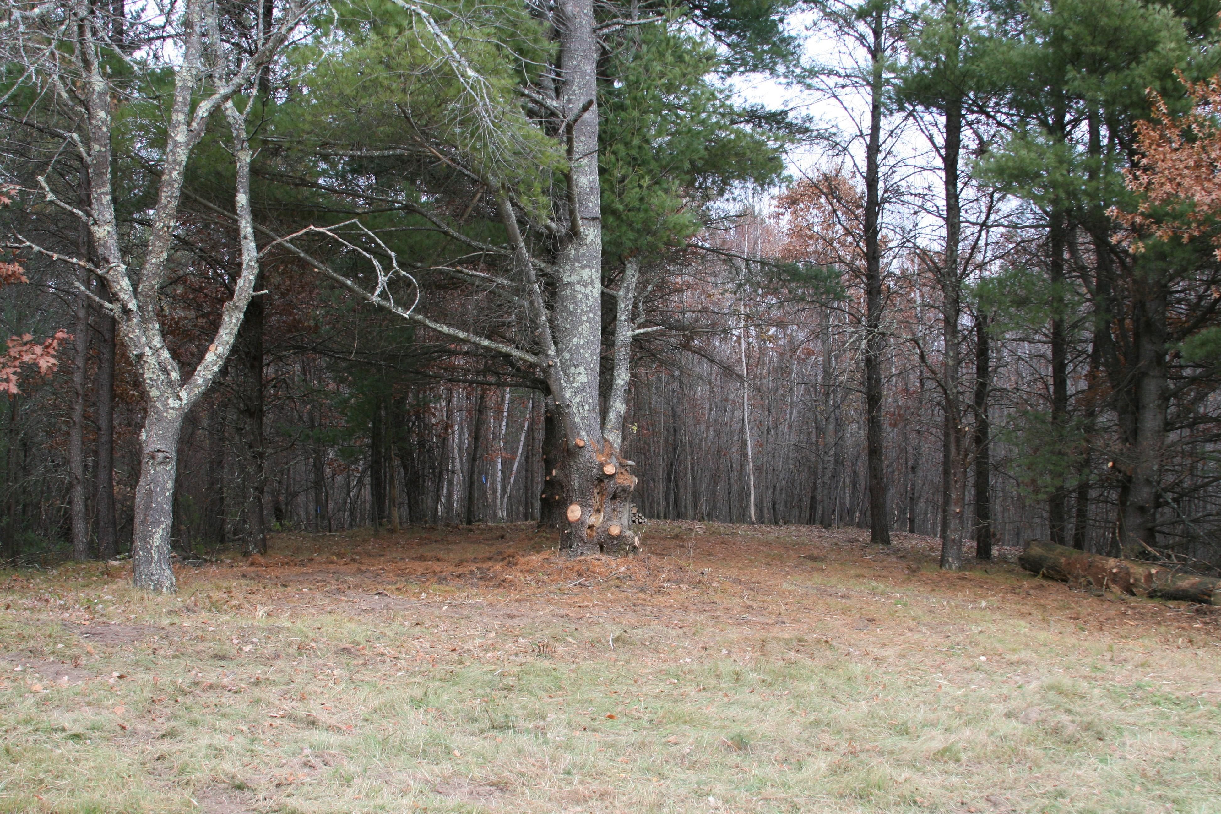 ster, County, WI Recreational Property, Timberland Property