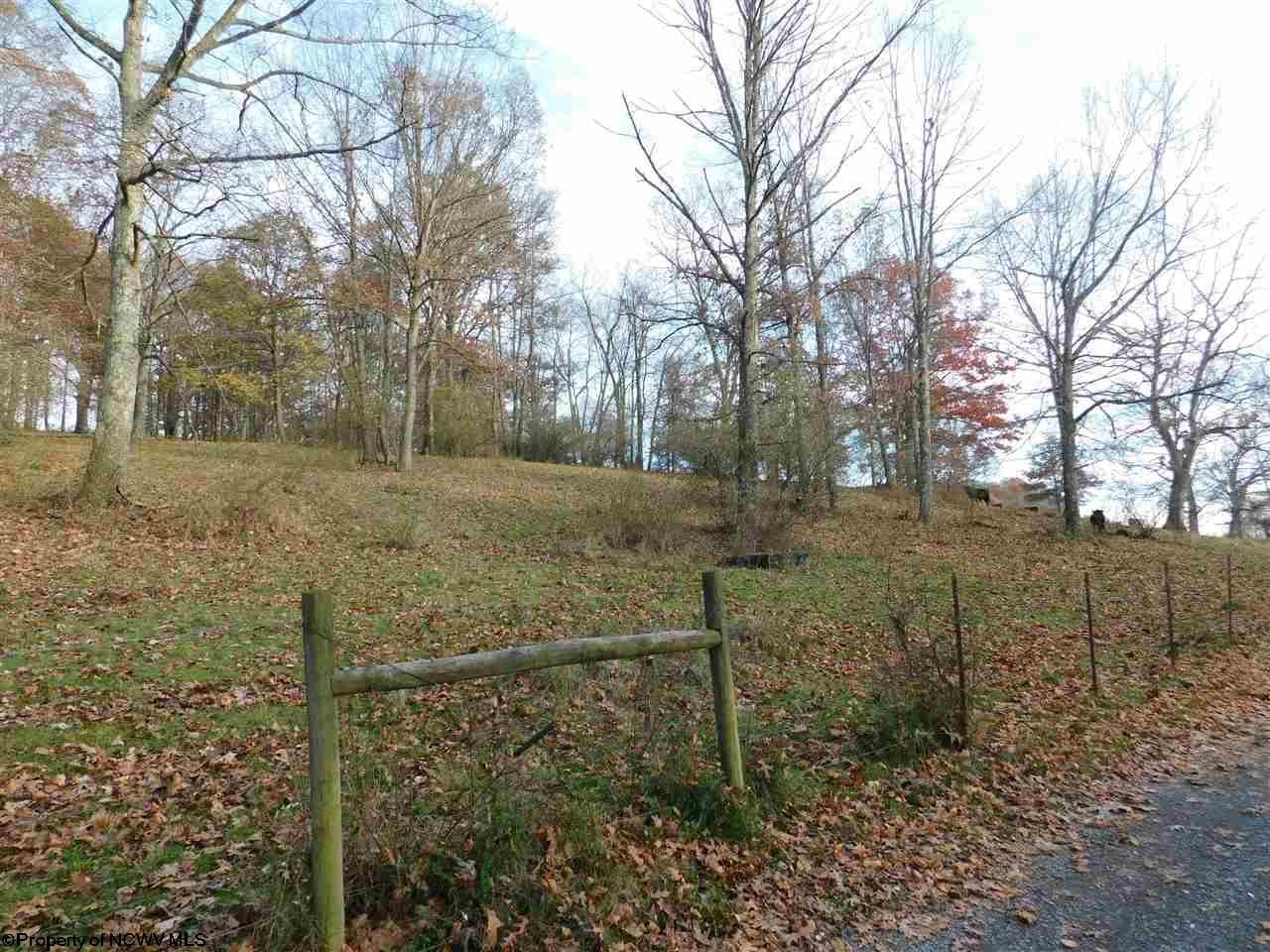 Reedsville, Preston County, WV Undeveloped Land for sale Property ID