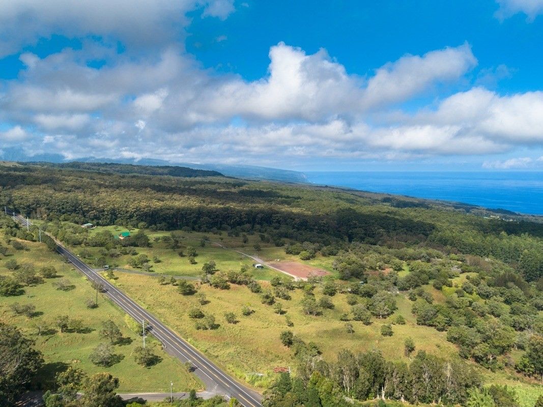 Honokaa, Hawaii County, HI Undeveloped Land for sale Property ID