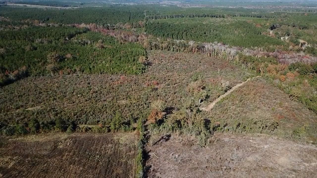 Lucky, Bienville Parish, LA Recreational Property, Timberland Property