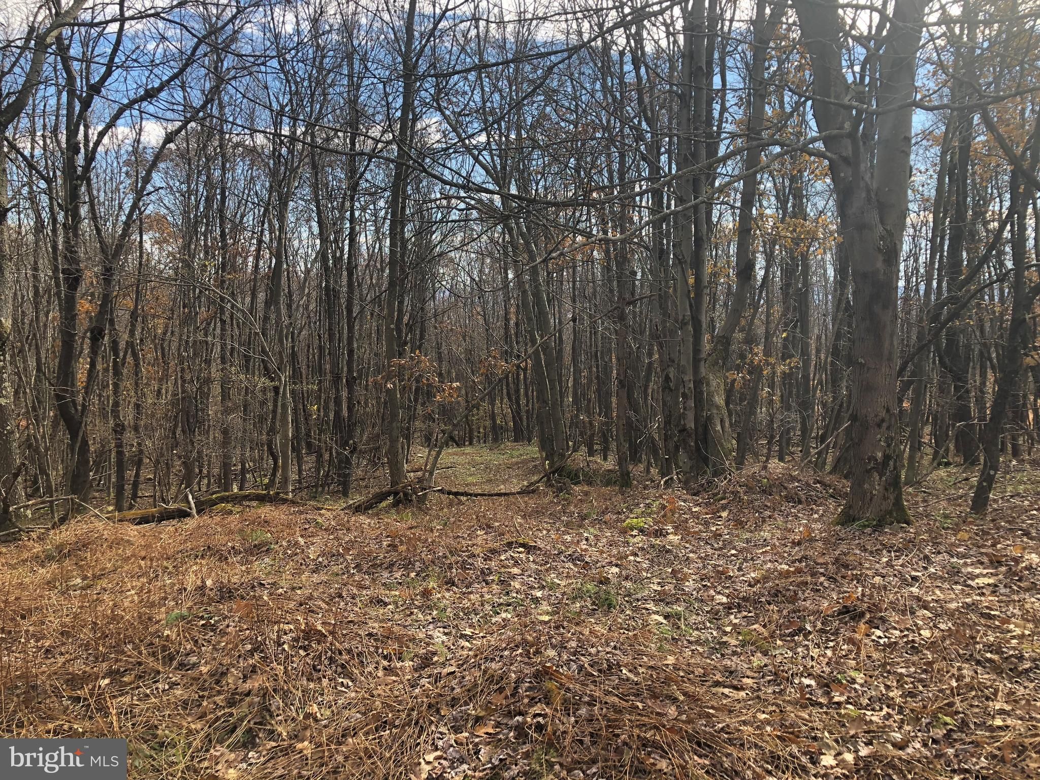 Central City, Somerset County, PA Undeveloped Land for sale Property ID