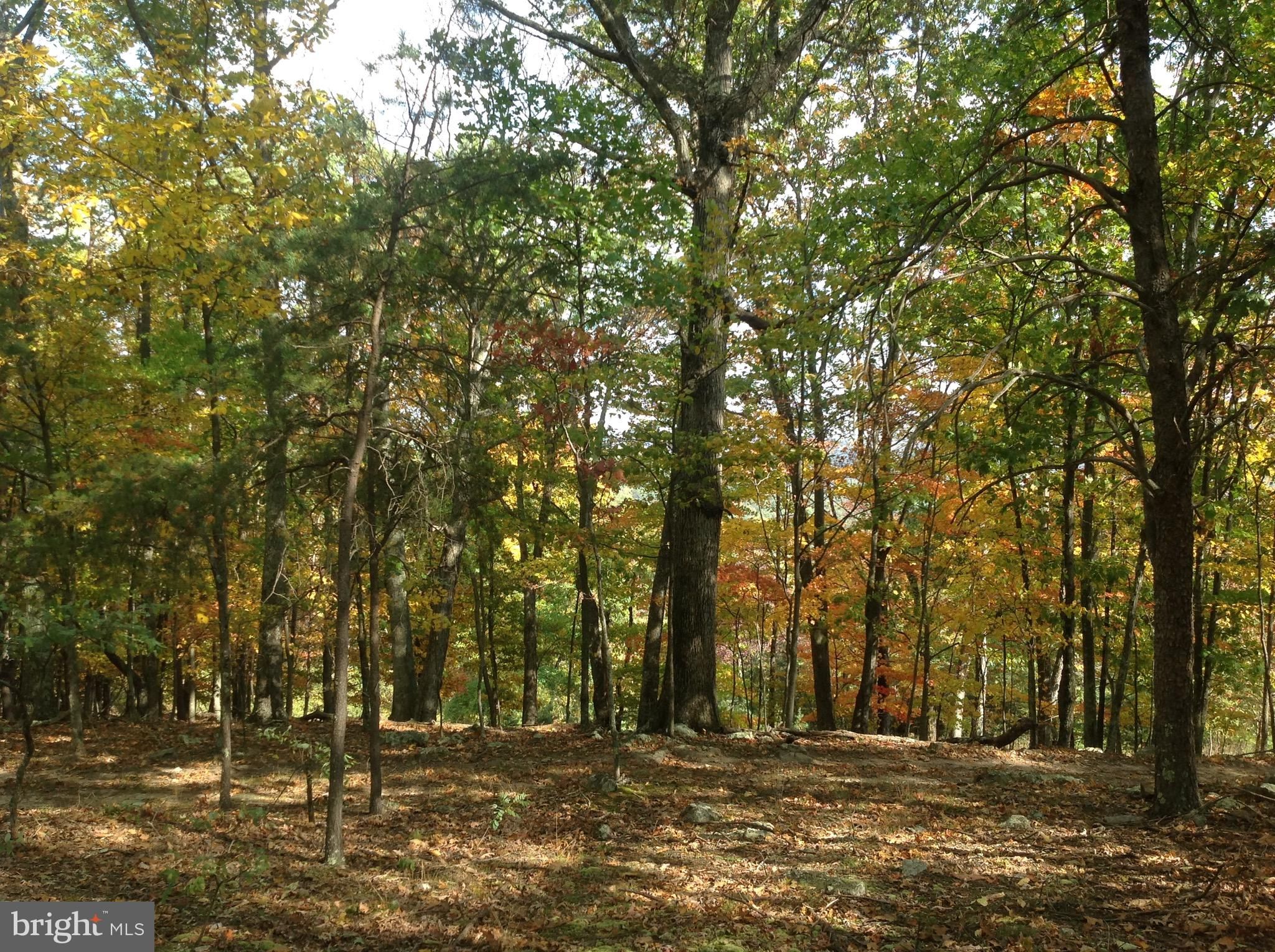 Moorefield, Hardy County, WV Undeveloped Land for sale Property ID