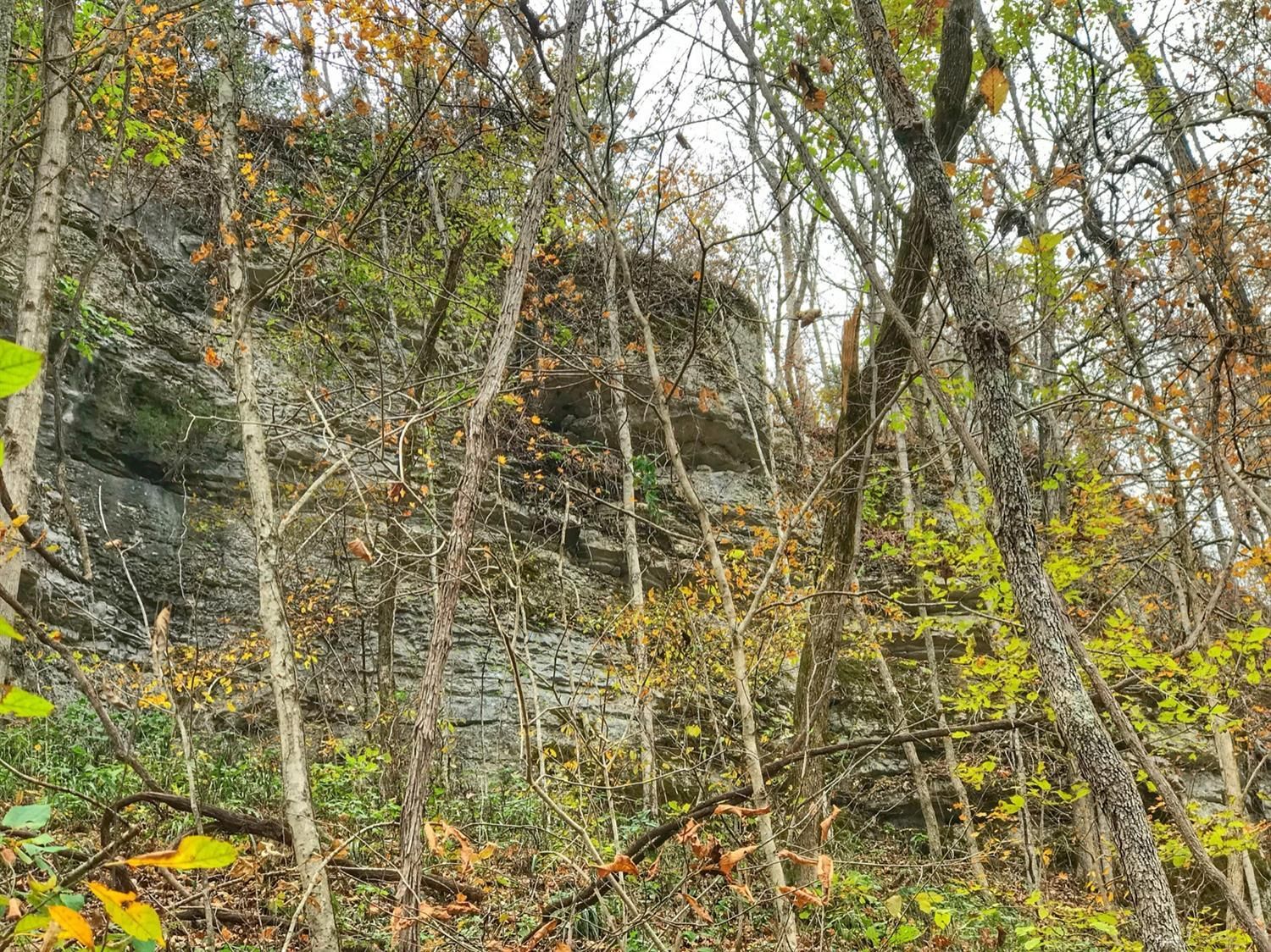 Stanton, Powell County, KY Recreational Property, Hunting Property for