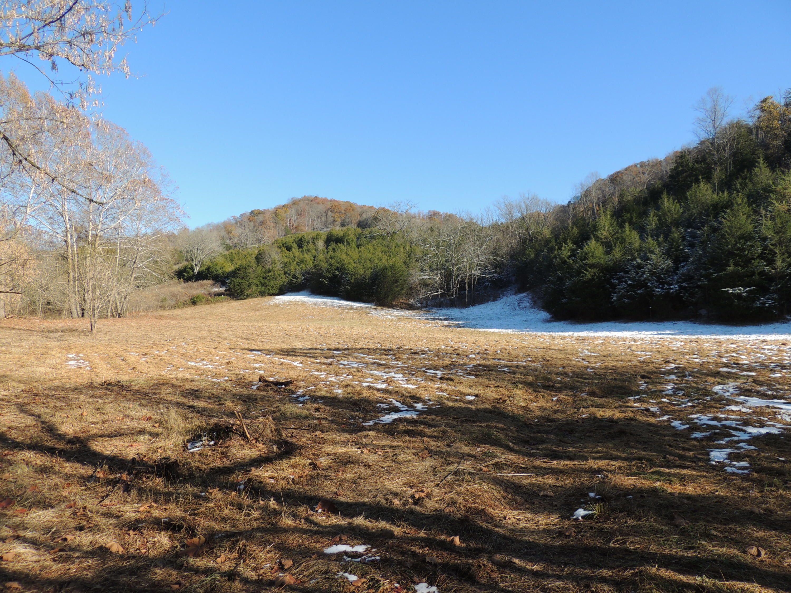 Sneedville, Hancock County, TN Undeveloped Land for sale Property ID