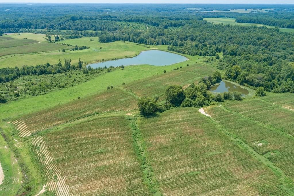 783 Baskerville Road, Baskerville, VA 23915 LandWatch