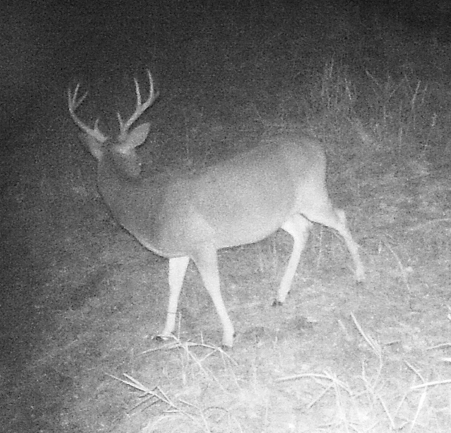 Evant, Hamilton County, TX Recreational Property, Undeveloped Land