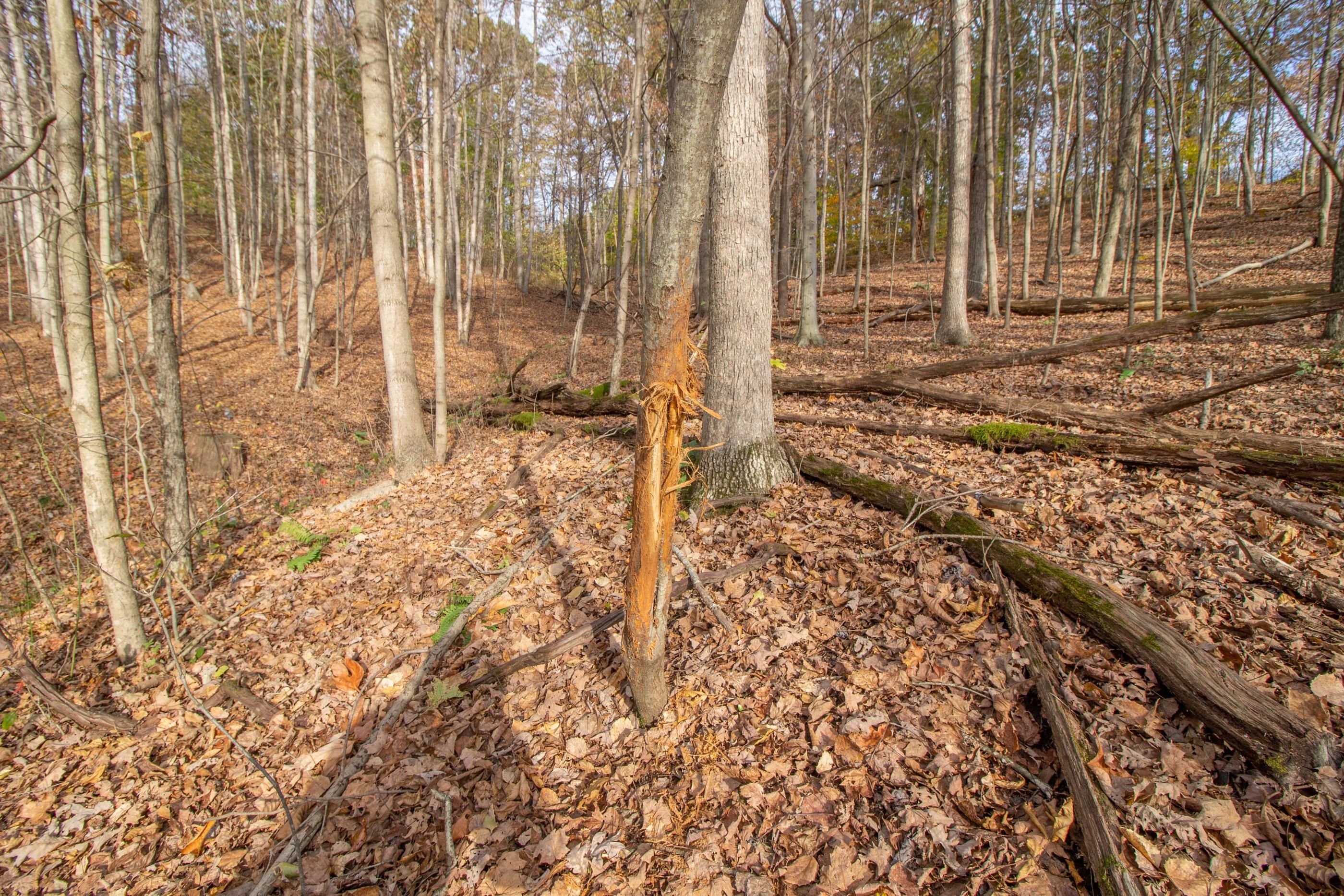 Amesville, Athens County, OH Recreational Property, Hunting Property