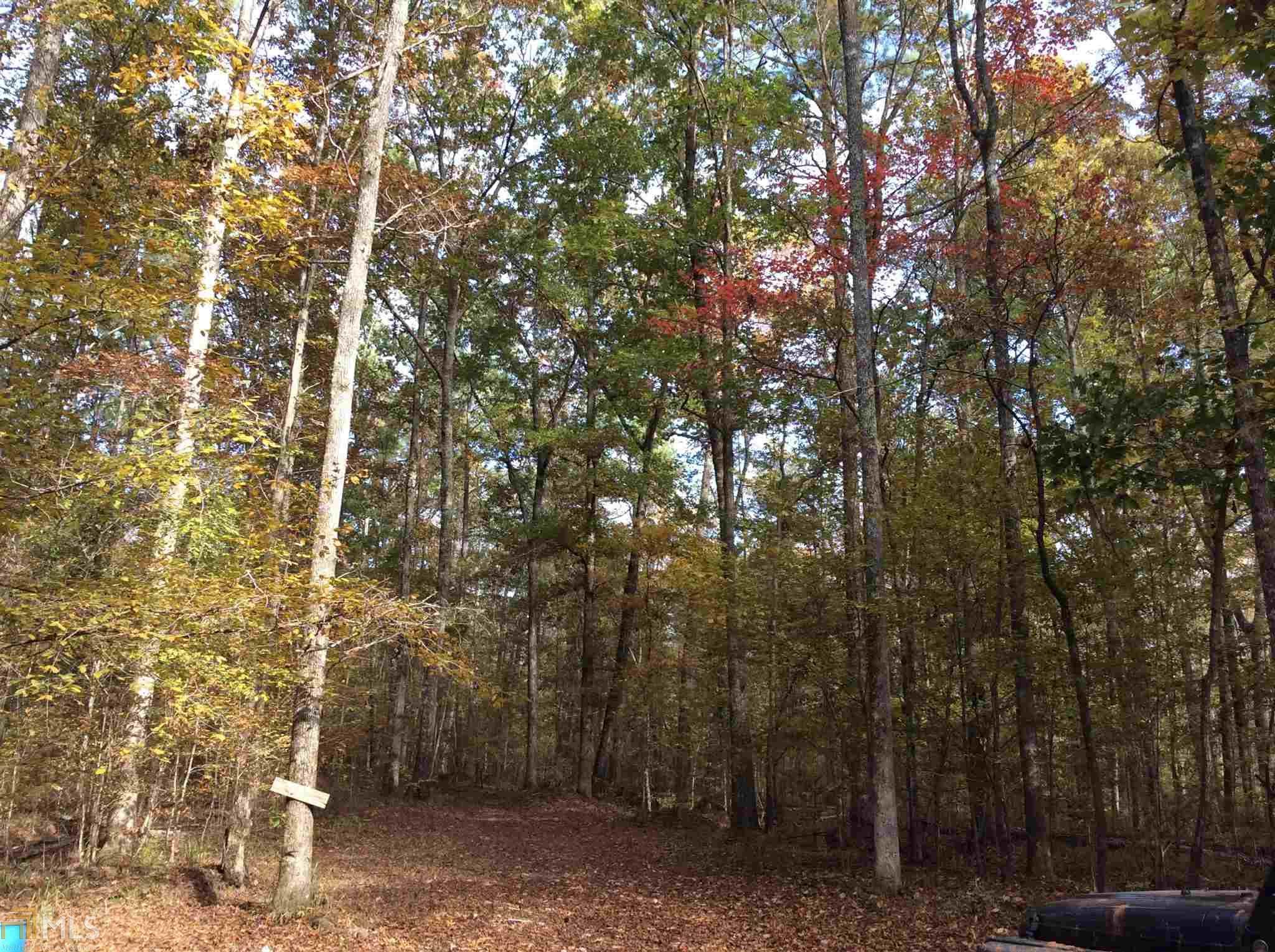 Hillsboro, Jasper County, GA Farms and Ranches for sale Property ID