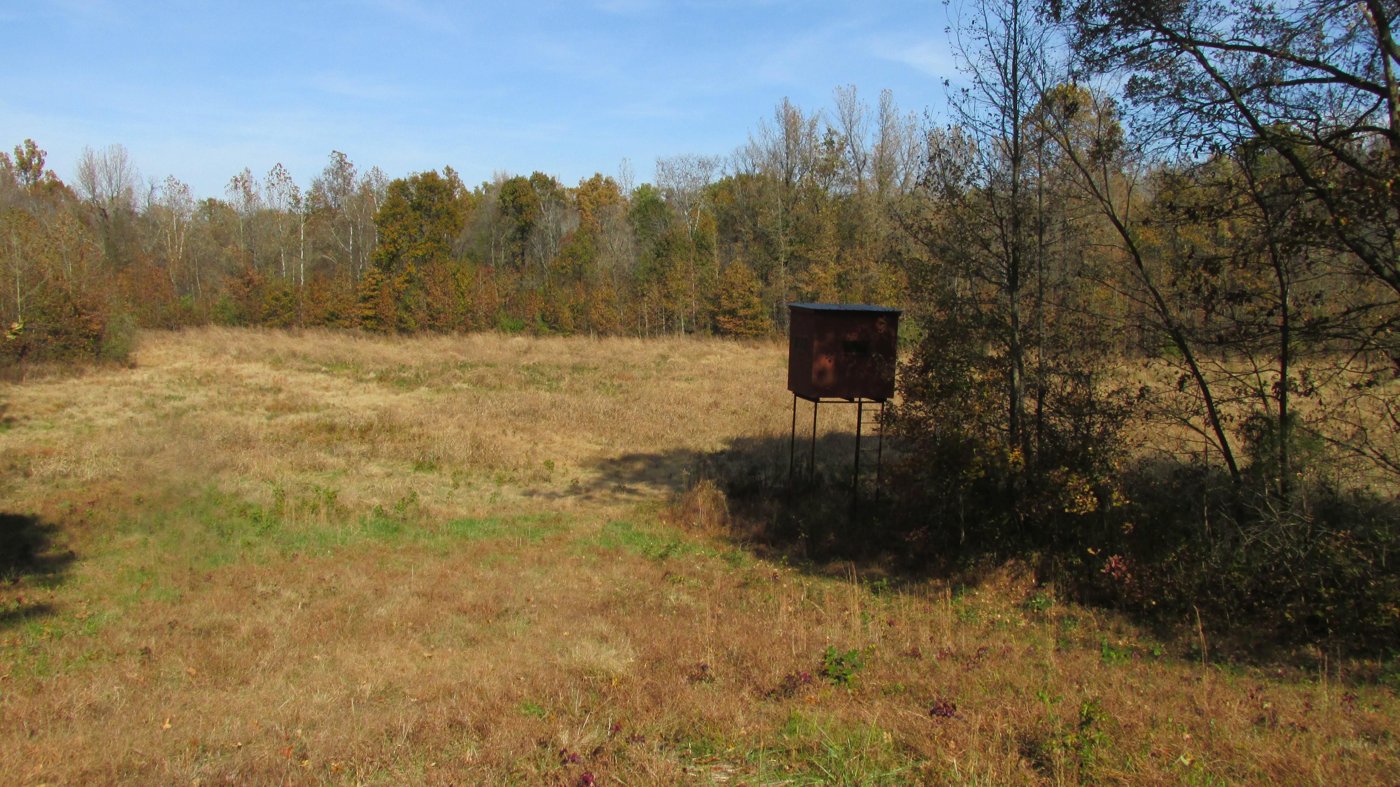 Olmsted, Pulaski County, IL Farms and Ranches, Hunting Property, Horse