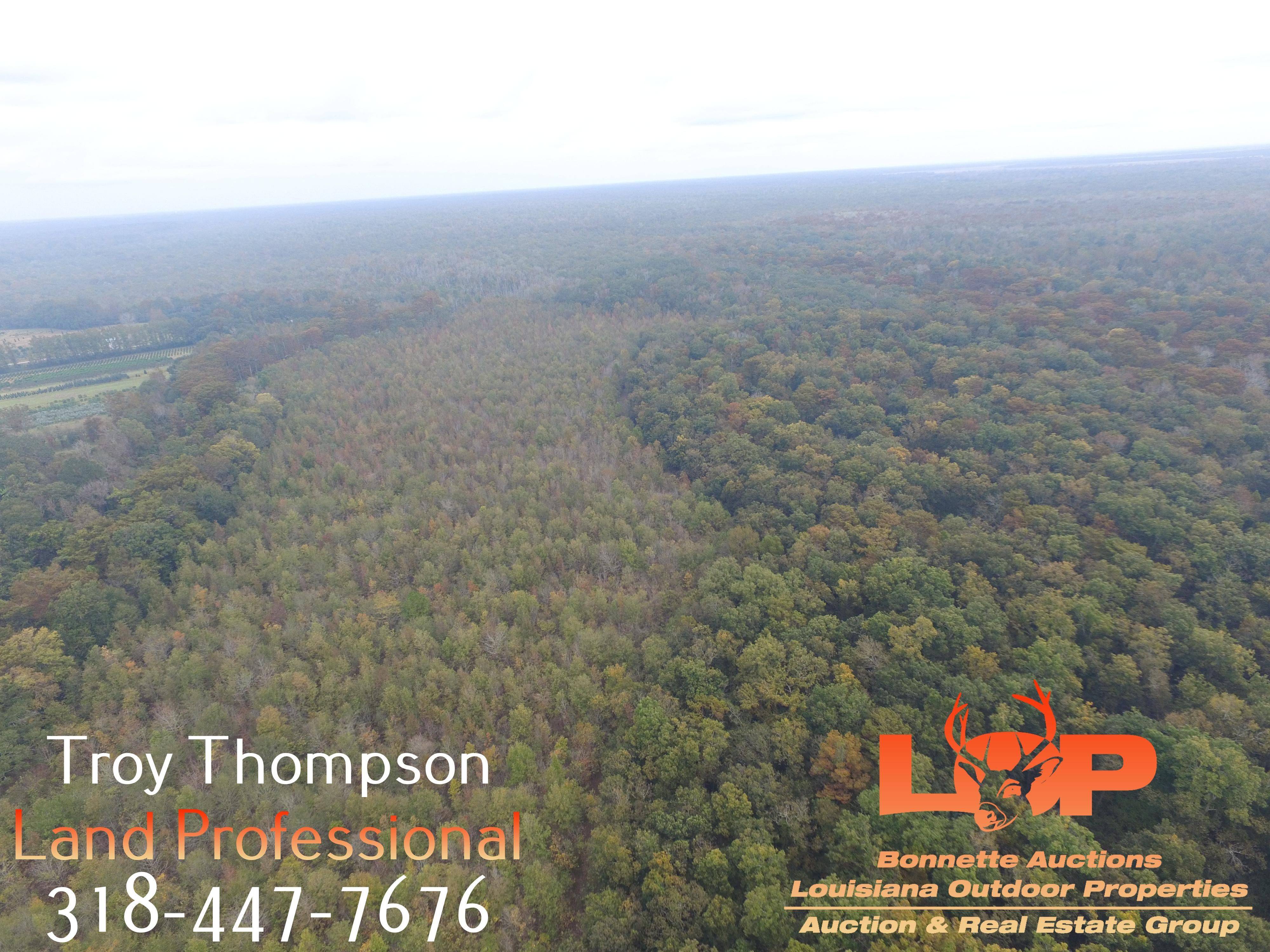 Morrow, Saint Landry Parish, LA Recreational Property, Timberland