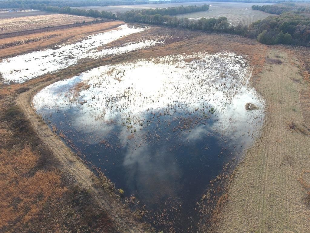 Marks, Quitman County, MS Recreational Property, Hunting Property for