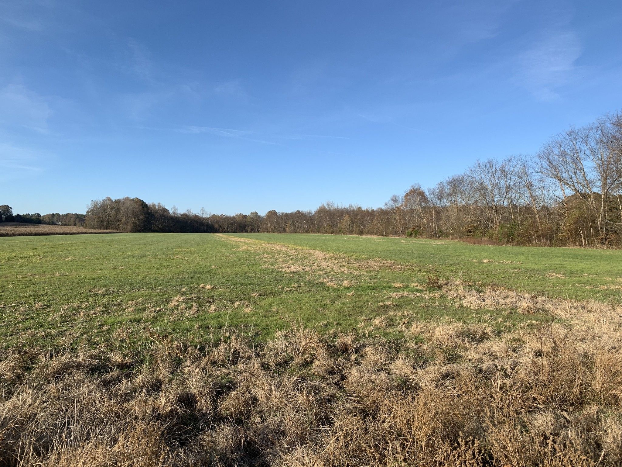 Sardis, Henderson County, TN Farms and Ranches, Recreational Property