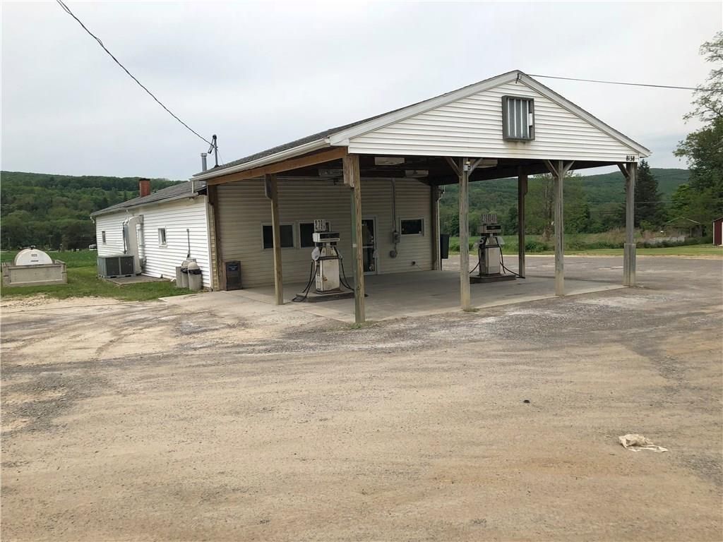 Springwater, Livingston County, NY Commercial Property, House for sale